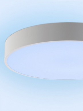 Накладной светильник Natali Kovaltseva MODERN LED LAMPS 81105/2C в Шадринске - shadrinsk.ok-mebel.com | фото 12