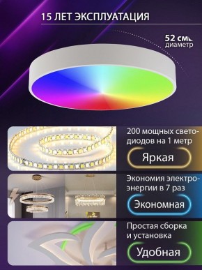 Накладной светильник Natali Kovaltseva MODERN LED LAMPS 81105/2C в Шадринске - shadrinsk.ok-mebel.com | фото 6