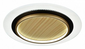 Накладной светильник Sonex Sunny 7731/80L в Шадринске - shadrinsk.ok-mebel.com | фото