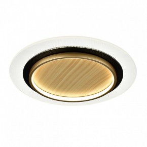 Накладной светильник Sonex Sunny 7731/80L в Шадринске - shadrinsk.ok-mebel.com | фото 4