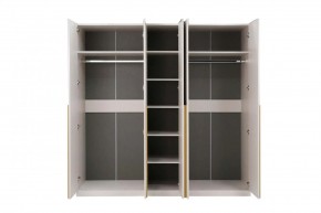 НИКОЛЬ 25 Шкаф 5-ти створчатый в Шадринске - shadrinsk.ok-mebel.com | фото 3