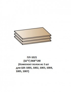 ПЛ-1021 (Комплект полок из 3 шт для ШК-1001, 1002, 1003, 1004, 1005, 1007) в Шадринске - shadrinsk.ok-mebel.com | фото