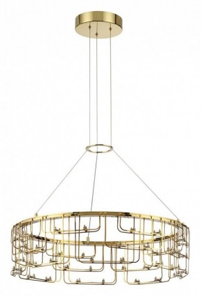 Подвесная люстра Odeon Light ZAHA 7060/44L в Шадринске - shadrinsk.ok-mebel.com | фото 2