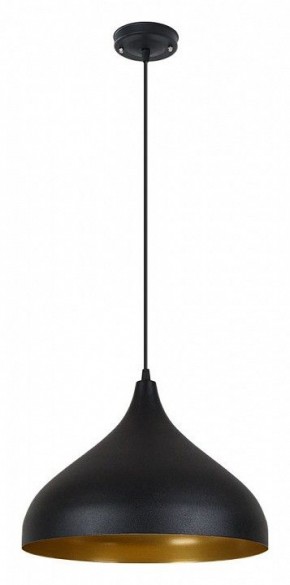 Подвесной светильник Arte Lamp Carmel A7076SP-1BK в Шадринске - shadrinsk.ok-mebel.com | фото 2