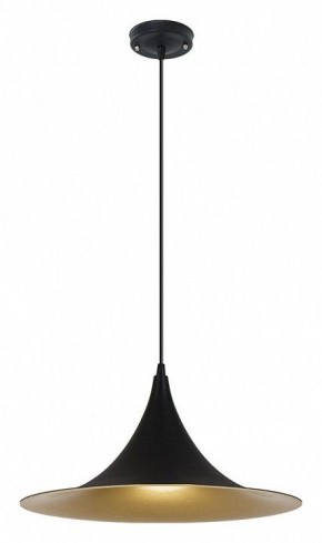 Подвесной светильник Arte Lamp Carmel A7080SP-1BK в Шадринске - shadrinsk.ok-mebel.com | фото 2