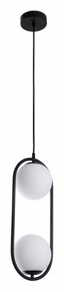 Подвесной светильник Arte Lamp Matisse A7745SP-2BK в Шадринске - shadrinsk.ok-mebel.com | фото 2
