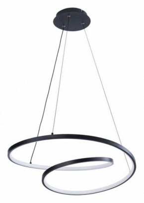 Подвесной светильник Arte Lamp Millo A3893SP-30BK в Шадринске - shadrinsk.ok-mebel.com | фото 2