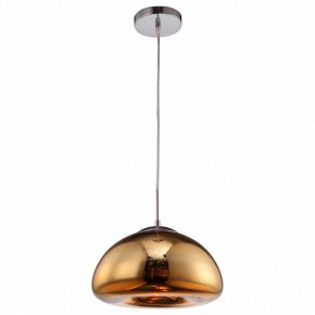 Подвесной светильник Arte Lamp Swift A8041SP-1GO в Шадринске - shadrinsk.ok-mebel.com | фото 2