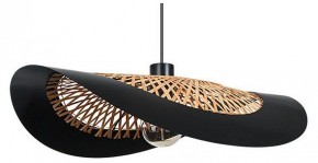 Подвесной светильник Arte Lamp Woodstock A7059SP-1BK в Шадринске - shadrinsk.ok-mebel.com | фото