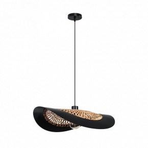 Подвесной светильник Arte Lamp Woodstock A7059SP-1BK в Шадринске - shadrinsk.ok-mebel.com | фото 2