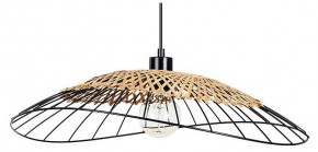 Подвесной светильник Arte Lamp Woodstock A7061SP-1BK в Шадринске - shadrinsk.ok-mebel.com | фото
