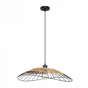 Подвесной светильник Arte Lamp Woodstock A7061SP-1BK в Шадринске - shadrinsk.ok-mebel.com | фото 2