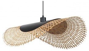 Подвесной светильник Arte Lamp Woodstock A7063SP-1BK в Шадринске - shadrinsk.ok-mebel.com | фото
