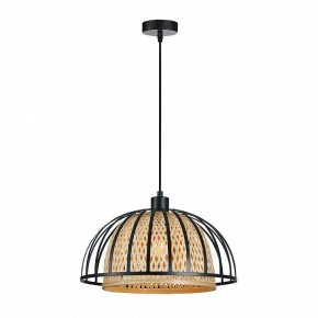 Подвесной светильник Arte Lamp Woodstock A7071SP-1BK в Шадринске - shadrinsk.ok-mebel.com | фото