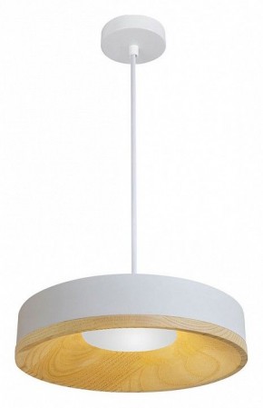 Подвесной светильник Divinare Vaso 5119/33 SP-12 в Шадринске - shadrinsk.ok-mebel.com | фото 2
