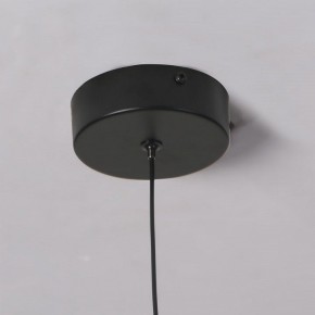 Подвесной светильник Favourite Wilet 4656-1P в Шадринске - shadrinsk.ok-mebel.com | фото 10