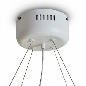 Подвесной светильник Freya Rain FR5546PL-L60W в Шадринске - shadrinsk.ok-mebel.com | фото 9
