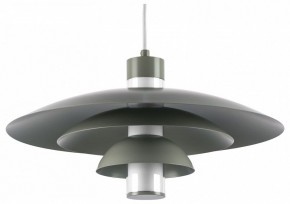 Подвесной светильник Lightstar Erbareo 799019 в Шадринске - shadrinsk.ok-mebel.com | фото