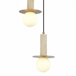 Подвесной светильник ST-Luce Earthy SL1194.303.03 в Шадринске - shadrinsk.ok-mebel.com | фото 4
