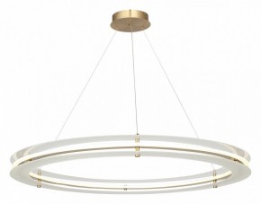 Подвесной светильник ST-Luce FAGY SL6245.213.01 в Шадринске - shadrinsk.ok-mebel.com | фото 4