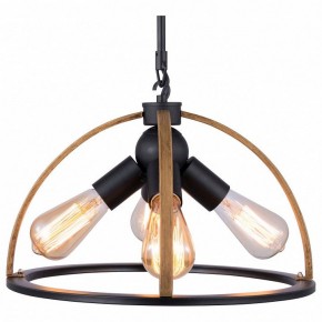 Подвесной светильник TopLight Jasmin TL1179H-04BK в Шадринске - shadrinsk.ok-mebel.com | фото