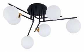 Потолочная люстра Arte Lamp Gemini A2243PL-6BK в Шадринске - shadrinsk.ok-mebel.com | фото