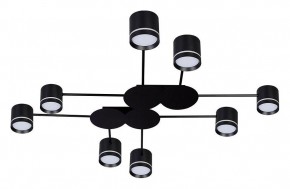 Потолочная люстра Arte Lamp Legacy A8024PL-8BK в Шадринске - shadrinsk.ok-mebel.com | фото