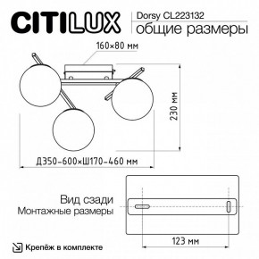 Потолочная люстра Citilux Dorsy CL223132 в Шадринске - shadrinsk.ok-mebel.com | фото 12