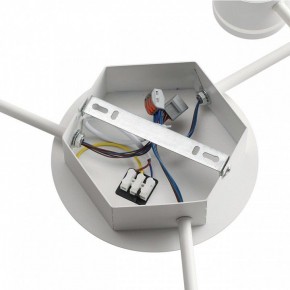 Потолочная люстра Lumion Gareta 8235/9C в Шадринске - shadrinsk.ok-mebel.com | фото 6