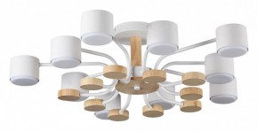 Потолочная люстра Lumion Rondo 8196/10C в Шадринске - shadrinsk.ok-mebel.com | фото