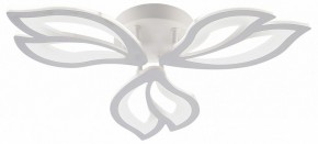 Потолочная люстра Natali Kovaltseva FORTUNA LED LAMPS 81107/2C в Шадринске - shadrinsk.ok-mebel.com | фото