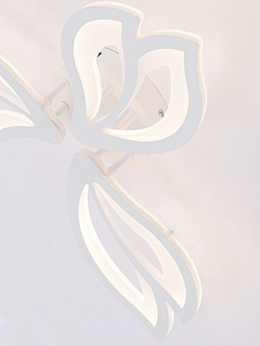 Потолочная люстра Natali Kovaltseva FORTUNA LED LAMPS 81107/2C в Шадринске - shadrinsk.ok-mebel.com | фото 11