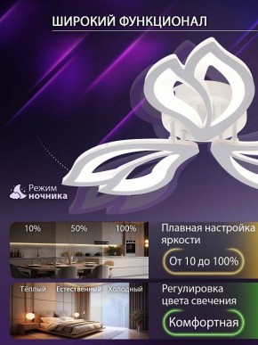 Потолочная люстра Natali Kovaltseva FORTUNA LED LAMPS 81107/2C в Шадринске - shadrinsk.ok-mebel.com | фото 5