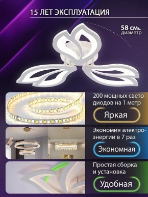 Потолочная люстра Natali Kovaltseva FORTUNA LED LAMPS 81107/2C в Шадринске - shadrinsk.ok-mebel.com | фото 6