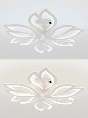 Потолочная люстра Natali Kovaltseva FORTUNA LED LAMPS 81107/6C в Шадринске - shadrinsk.ok-mebel.com | фото 4