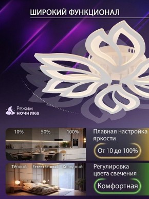 Потолочная люстра Natali Kovaltseva FORTUNA LED LAMPS 81107/6C в Шадринске - shadrinsk.ok-mebel.com | фото 6