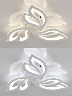 Потолочная люстра Natali Kovaltseva  LED LAMPS 81426 в Шадринске - shadrinsk.ok-mebel.com | фото 4