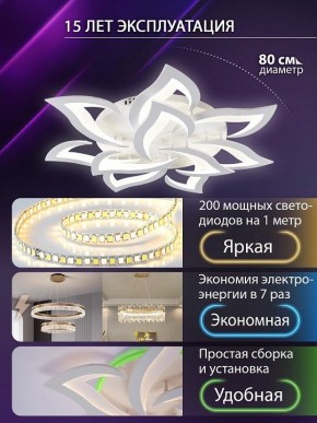 Потолочная люстра Natali Kovaltseva OLIMP LED SMART 84005 в Шадринске - shadrinsk.ok-mebel.com | фото 5