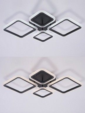 Потолочная люстра Natali Kovaltseva OPTI LED LAMPS 81108/2C в Шадринске - shadrinsk.ok-mebel.com | фото 4