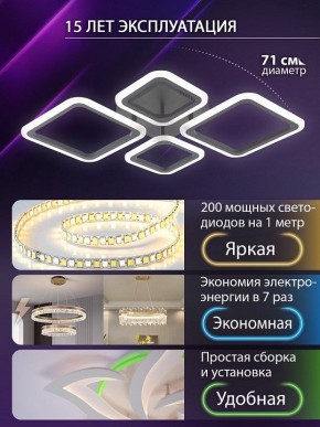 Потолочная люстра Natali Kovaltseva OPTI LED LAMPS 81108/2C в Шадринске - shadrinsk.ok-mebel.com | фото 5
