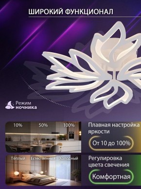 Потолочная люстра Natali Kovaltseva RIF LED LAMPS 81118/5C в Шадринске - shadrinsk.ok-mebel.com | фото 6