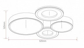 Потолочная люстра Rivoli Aliona Б0066451 в Шадринске - shadrinsk.ok-mebel.com | фото 11