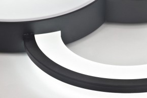 Потолочная люстра Rivoli Aliona Б0066452 в Шадринске - shadrinsk.ok-mebel.com | фото 10