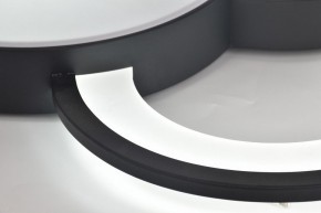 Потолочная люстра Rivoli Aliona Б0066452 в Шадринске - shadrinsk.ok-mebel.com | фото 12