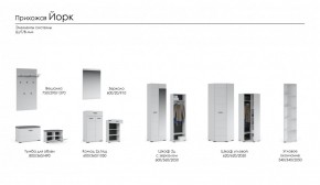 Прихожая Йорк (модульная) в Шадринске - shadrinsk.ok-mebel.com | фото 2