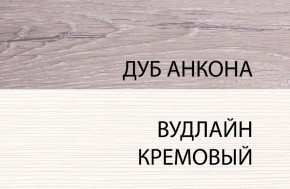 Шкаф 1DW, OLIVIA, цвет вудлайн крем/дуб анкона в Шадринске - shadrinsk.ok-mebel.com | фото 3