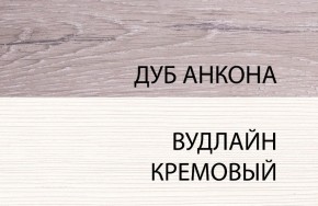 Шкаф 1DZ, OLIVIA, цвет вудлайн крем/дуб анкона в Шадринске - shadrinsk.ok-mebel.com | фото 3