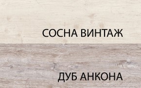 Шкаф 2D1S, MONAKO, цвет Сосна винтаж/дуб анкона в Шадринске - shadrinsk.ok-mebel.com | фото