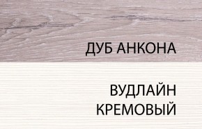 Шкаф 2DG, OLIVIA, цвет вудлайн крем/дуб анкона в Шадринске - shadrinsk.ok-mebel.com | фото 3