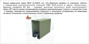 Шкаф-купе 1500 серии NEW CLASSIC K2+K2+B2+PL2(2 ящика+1 штанга+1 полка) профиль «Капучино» в Шадринске - shadrinsk.ok-mebel.com | фото 17